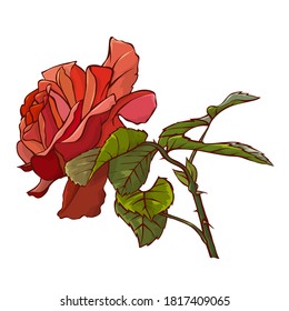 Cute bouquet of flowers from roses. Set of flowers, roses and branches. Natural flowering plants create a sense of celebration and happiness. Vector illustration