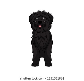 Cute Bouvier Des Flandres Cartoon Dog. Vector illustration of purebred bouvier des flandres dog.