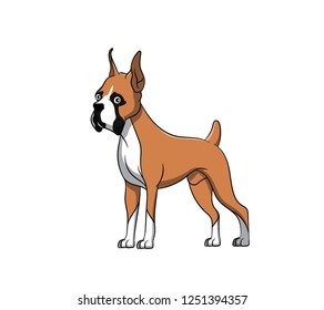 Cute Boxer Cartoon Dog. Vector illustration of purebred boxer dog.