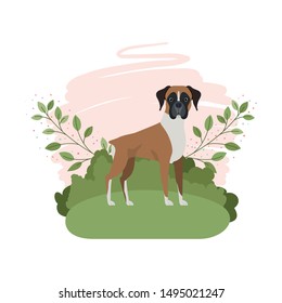 cute boxer dog with background landscape