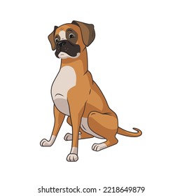 Cute boxer dog sitting and smiling, lovely puppy, funny sweet adorable pet being a good boy, happy dog smile, cartoon style, pedigree dog, lovely animal on white background