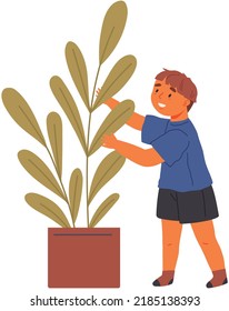 Cute boy spends time with plants and grow tree in pots at his garden at home. Child takes care for flower in flat cartoon style. Kid touches with his hands large leaf of green isolated potted plant