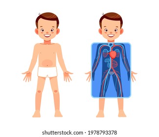 Cute boy with x-ray screen showing heart and internal circulatory systems. My body, elements of educational infographics poster for kids. Cartoon vector clip art illustration Isolated.