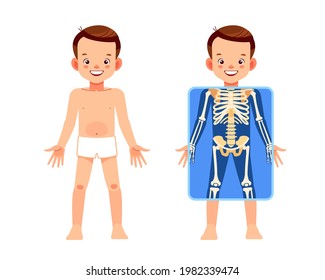 Cute boy with x-ray screen showing skeleton body human. My body, elements of educational infographics poster for kids. Cartoon vector clip art isolated illustration.