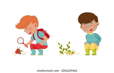 Cute boys exploring insects in forest or park set cartoon vector illustration