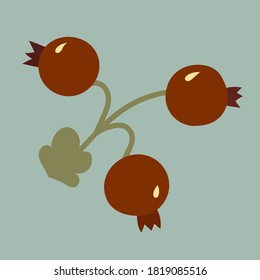 Cute branch of cranberries or lingonberry in minimalistic style. Print for t-shirt , badge, clothes.