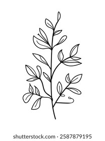 Cute branch with flowers and leaves isolated on white background. Vector hand-drawn illustration in doodle style. Perfect for cards, logo, decorations, various designs.
