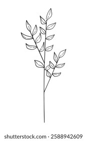 Cute branch with flowers and leaves isolated on white background. Vector hand-drawn illustration in doodle style. Perfect for cards, logo, decorations, various designs.