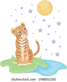 Cute bright children s illustration. Baby tiger cub sits on the grass near the pond and dreamily looks at the sky with the moon and stars. Children s print illustration. Vector image.