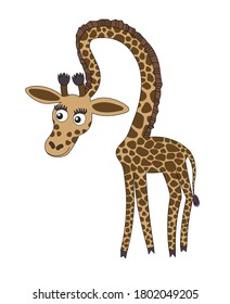 Cute bright giraffe in cartoon style. Drawing isolated on white background. Stock vector illustration.