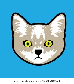 cute and bright kitten's head