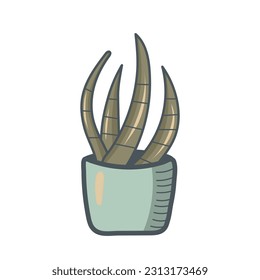 Cute bright succulent on a white background. Beautiful design. For flower and plant shop, garden, seeds, children's illustration. Cute cactus. Vector illustration.
