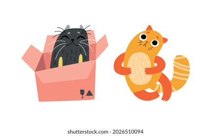 Cute Bright Whiskered Cat as Furry Domestic Pet Vector Set