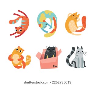 Cute Bright Whiskered Cat as Furry Domestic Pet Playing and Sitting in Cardboard Box Vector Set