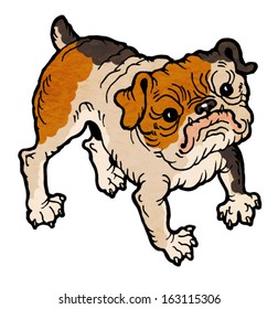 cute brindle bulldog vector 