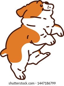 Cute British Bulldog jumping side view 