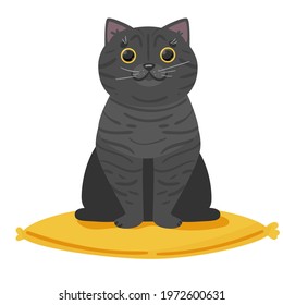 Cute British cat. Beautiful logo for a shop, veterinary clinic, hotel, banners, wb advertising and postcards. Vector illustration isolated on white background.