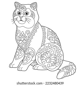 Cute British shorthair cat. Adult coloring book page in mandala style