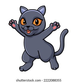 Cute british shorthair cat cartoon