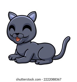 Cute british shorthair cat cartoon sitting