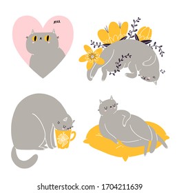 Cute british shorthair cat vector collection 6