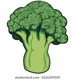 Cute broccoli vegatable vektor illustration, work of hand drawn