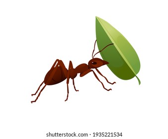 Hormiga marrón aguda sosteniendo un insecto de caricatura de hoja verde diseño de animales ilustración vectorial aislada en fondo blanco