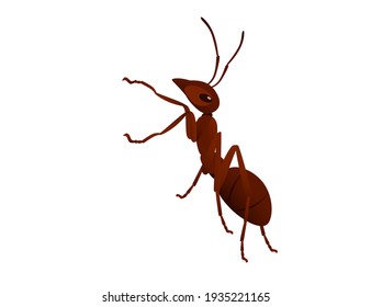 Cute brown ant looks around cartoon bug animal design vector illustration isolated on white background