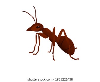 Una hormiga marrón aguda alrededor del insecto de dibujos animados diseño de animales ilustración vectorial aislada en fondo blanco