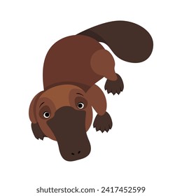 Cute brown Australian platypus on isolated background