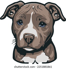 Cute brown baby pitbull with blue eyes looking directly at you vector clipart 