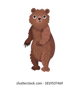 Cute Brown Bear as Carnivore Forest Animal Vector Illustration