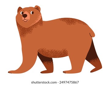 Cute brown bear isolated on white background. Forest wild animal. Flat vector illustration.