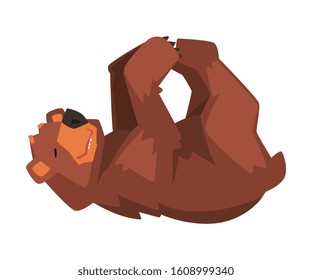 Cute Brown Bear Lying on His Back, Wild Forest Animal Character Cartoon Vector illustration