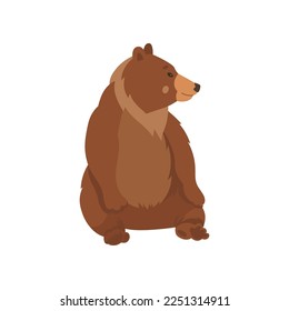 Cute brown bear sitting flat vector illustration. Drawing of wild grizzly bear cartoon character resting isolated on white background. Wildlife, nature concept