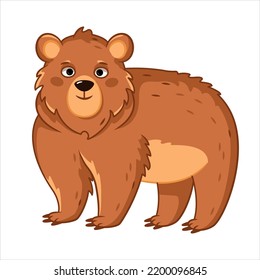cute brown bear stands and looks straight. forest animals. vector illustration