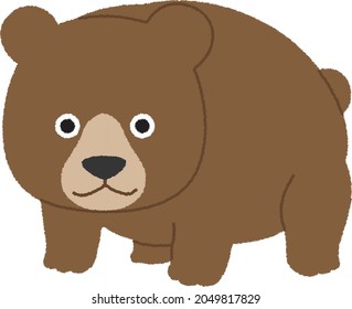 Cute brown bear. Vector animal illustration isolated on a white background.