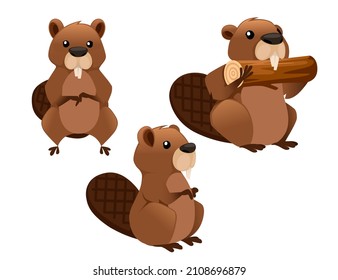 Cute brown beaver eating wooden stick. Cartoon character design. North American beaver Castor canadensis. Rodentia mammals. Happy animal. Flat vector illustration isolated on white background.