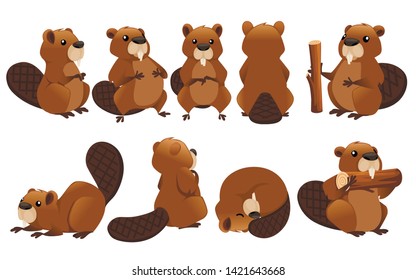 Cute brown beaver icon collection. Cartoon character design. North American beaver Castor canadensis. Rodentia mammals. Happy animal. Flat vector illustration isolated on white background