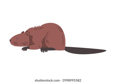 Cute Brown Beaver, Side View Wild Rodent Animal Cartoon Vektorgrafik