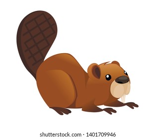 Cute brown beaver sitting. Cartoon character design. North American beaver Castor canadensis. Rodentia mammals. Happy animal. Flat vector illustration isolated on white background. Front view.