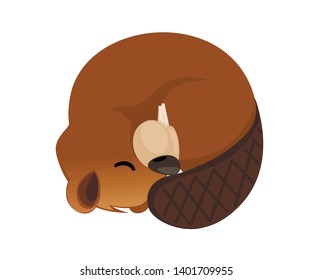 Cute brown beaver sitting. Cartoon character design. North American beaver Castor canadensis. Rodentia mammals. Happy animal. Flat vector illustration isolated on white background. Front view.