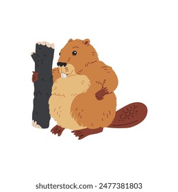 Cute brown beaver stands and holds a log isolated on white background. Wild forest animal chews and harvests wood. Cartoon flat vector illustration.