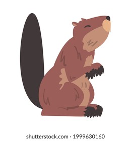 Cute Brown Beaver, Wild Rodent Mammal Animal Cartoon Vektorgrafik