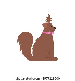 Cute brown big dog in pink collar cartoon character, flat vector illustration isolated on white background. Adorable funny dog or puppy sits sideways.