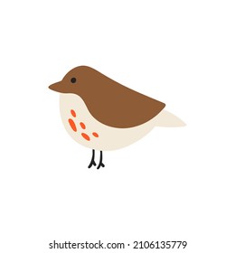 Cute brown bird with a pattern on its body. A simple flat vector illustration isolated on a white background. Cute baby bird