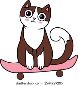cute brown cat with big eyes and white spots sits on a skateboard