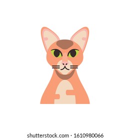 Cute brown cat cartoon design, Animal pet kitten domestic feline kitty mammal beautiful and portrait theme Vector illustration