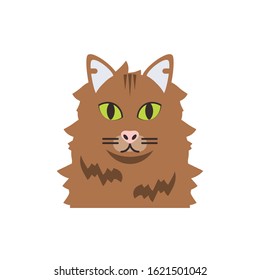 Cute brown cat cartoon design, Animal pet kitten domestic feline kitty mammal beautiful and portrait theme Vector illustration