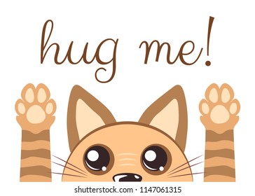 Cute brown cat on a white background. Cat's paws, hug me.